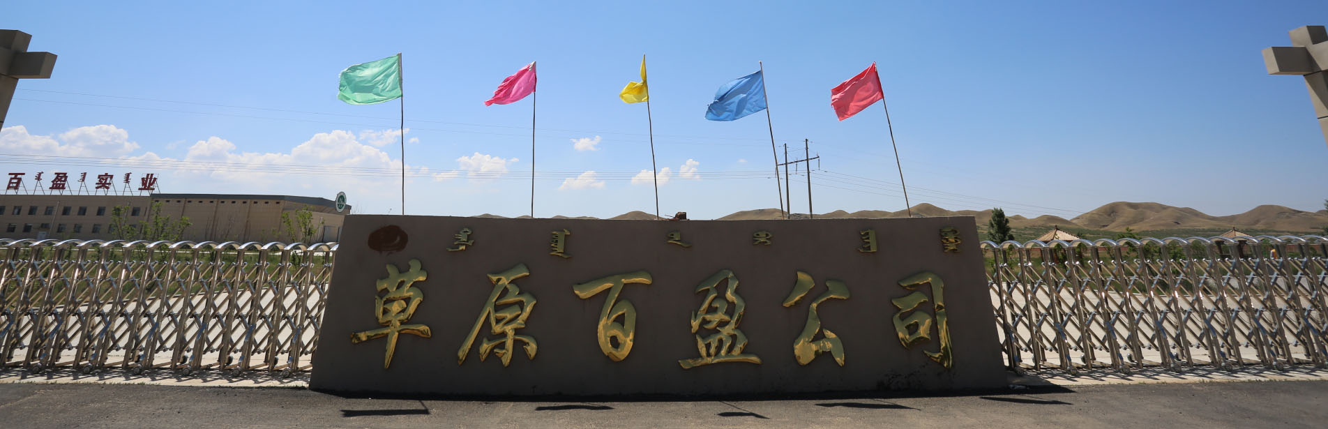谈球吧综合